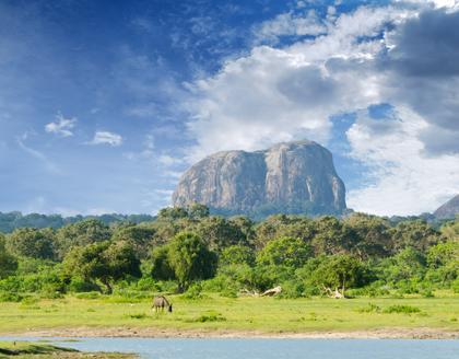 Yala Nationalpark