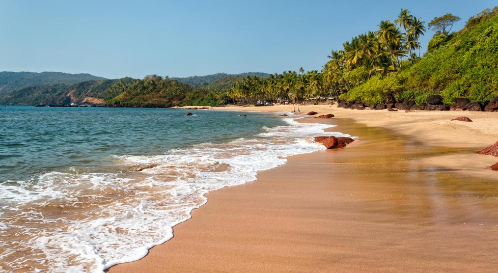 Palmaenstrand in Goa