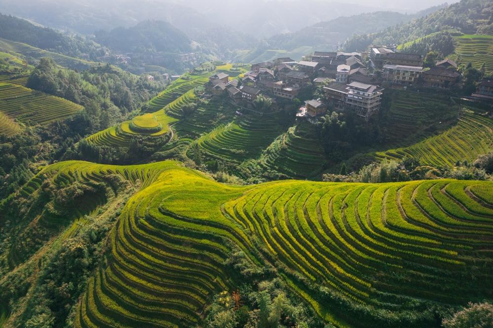 Reisterrasse in Longsheng