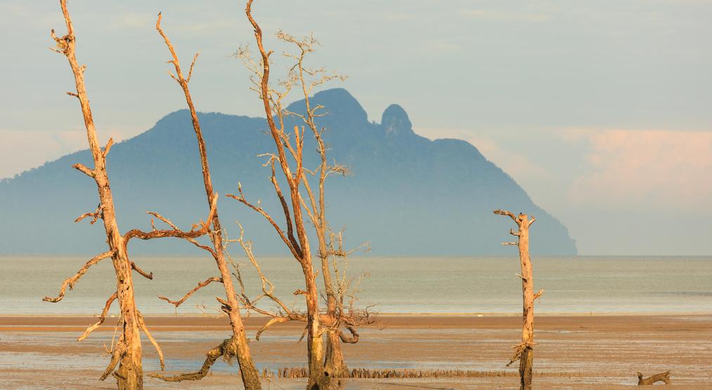Ebbe im Nationalpark 