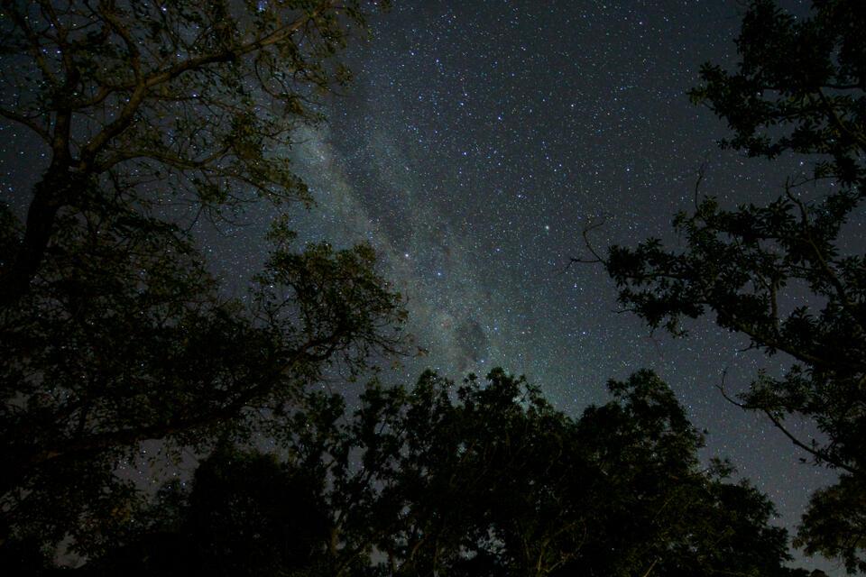 Sternenhimmel in der Nähe des Krüger Nationalparks