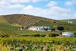 Weinregion Montilla-Moriles