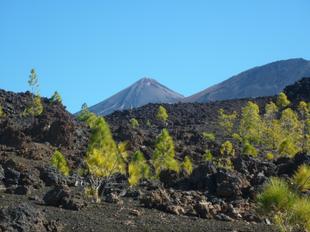 Teide und Pico Viejo vom westlichen Vulkangebiet Teide