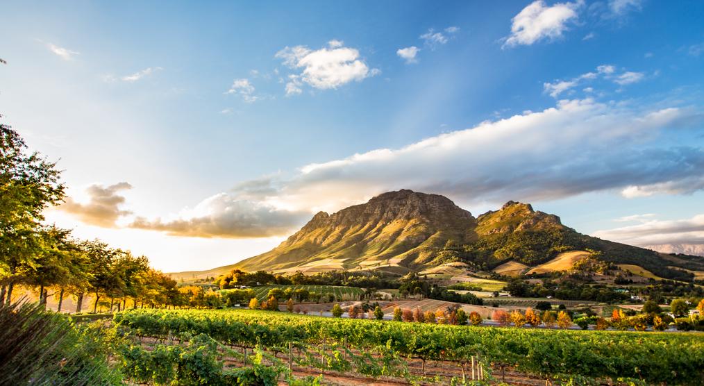Stellenbosch