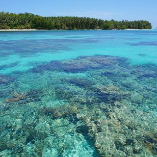 Coral Cay