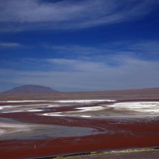 Laguna Colorada