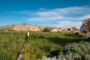 Tiryns