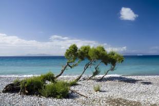 Kiesstrand bei Ialyssos