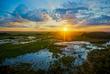 Sonnenaufgang im Pantanal