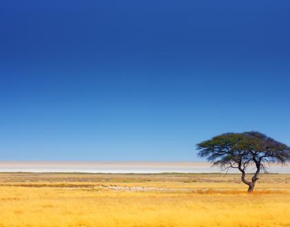 Etosha Nationalpark