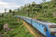 Zug nach Bandarawela
