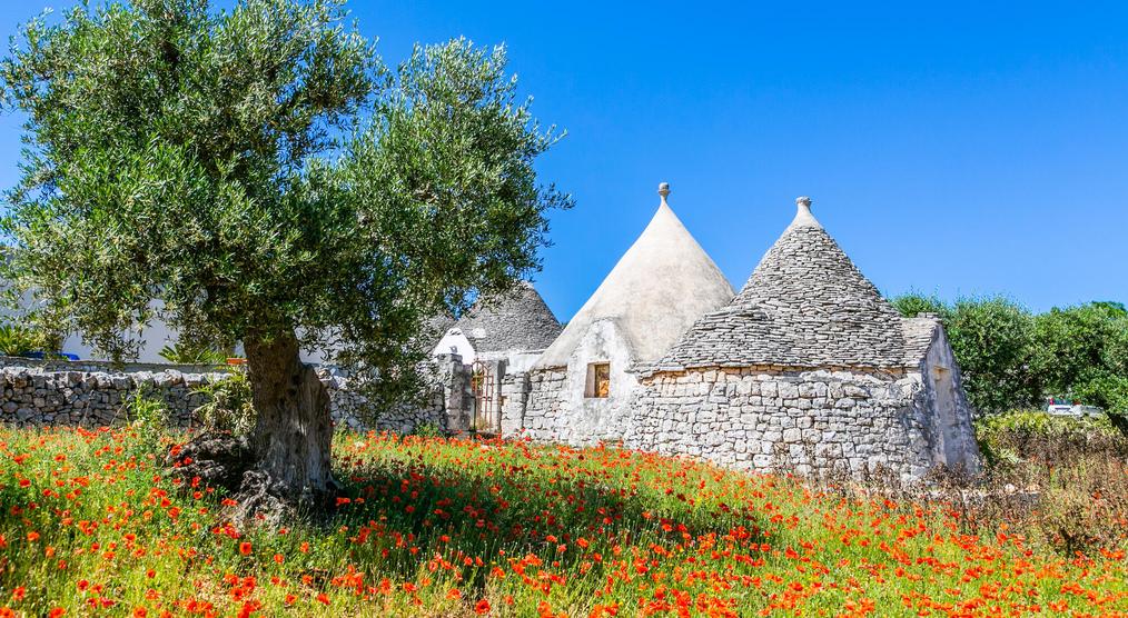 Trulli in Alberobello 