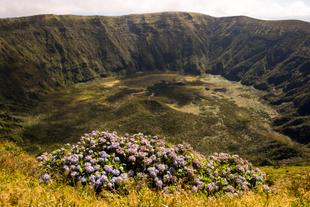 Caldeira auf Faial