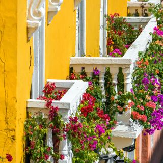 Mit Blumen verzierte Balkone in Cartagena