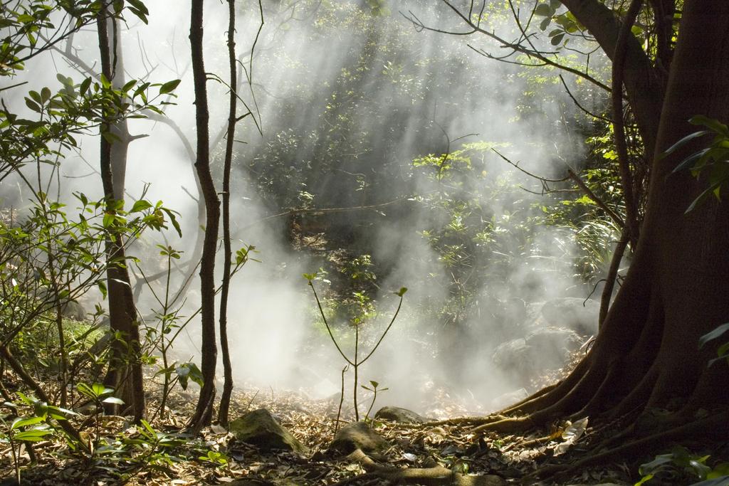 Fumarole in Rincon de la Vieja