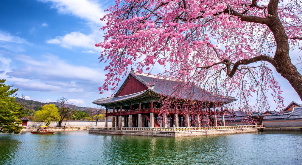 Gyeongbokgung Palast im Frühling bei einer Südkorea Reise