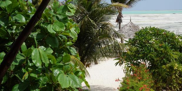 Ausblick aufs Meer 