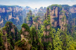 Aussicht auf die beruehmte Avatar Felsenlandschaft im Nationalpark Zhangjiajie
