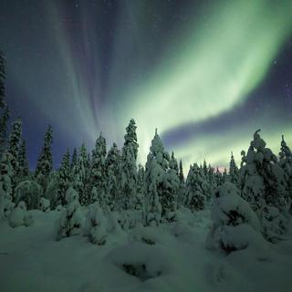 Nordlichter 