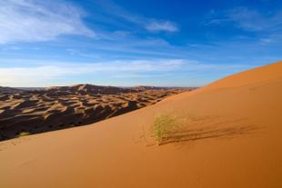 Blick über Erg Chebbi