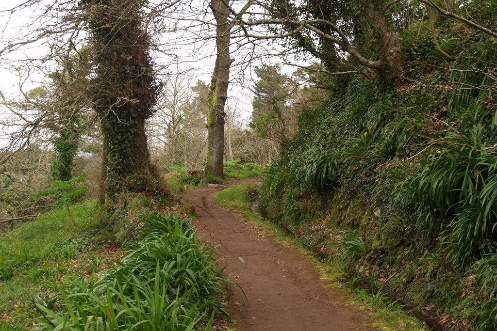 Levada Vale Paraíso