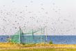 Vogelwarte Windenburger Eck