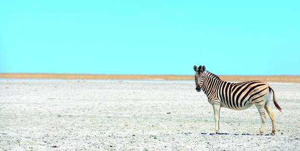 Südafrika & Botswana Landschaft