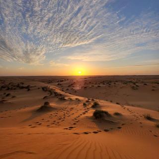 Sonnenuntergang in der Wahiba Wüste