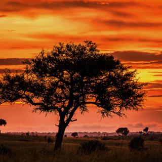 Sonnenuntergang im Nationalpark