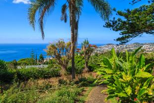Botanischer Garten Funchal 