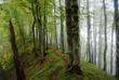Lagodechi-Nationalpark
