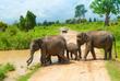 Udawalawe Nationalpark