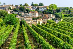 Weinberge von Saint-Émilion