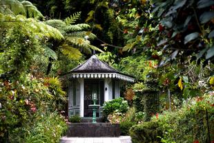 Garten des La Maison Folio Hauses