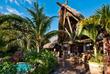 Café: Tropic Al’s