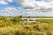 St. Lucia Wetlands