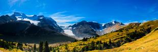 Wilcox Pass 