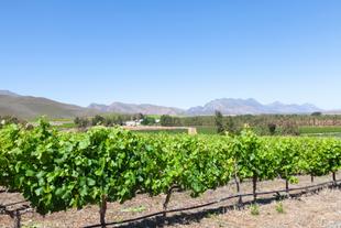 Robertson Wine Valley