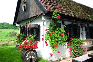 hübsches traditionelles kroatisches Häuschen