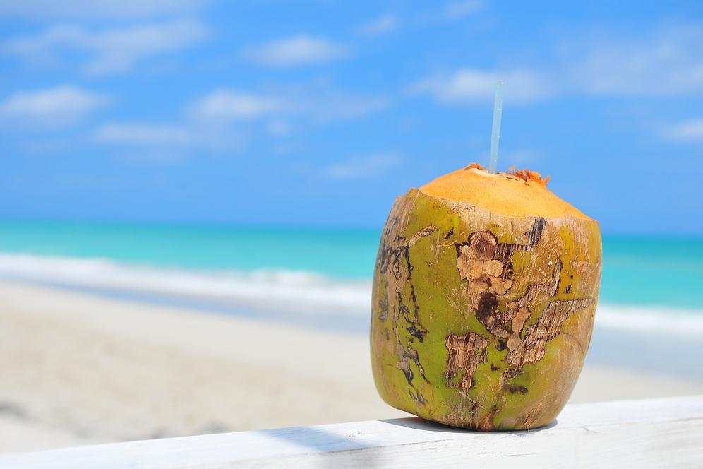 Kokosnuss am Cayo Coco