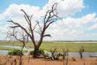 Landschaft im Chobe-Nationalpark