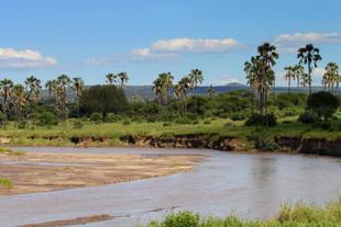 Landschaft im Tarangire Nationalpark