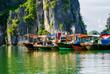 Schiffe in der Halong-Bucht 