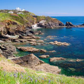 Lizard Point