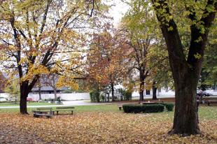 Herbstlicher Klostergarten  