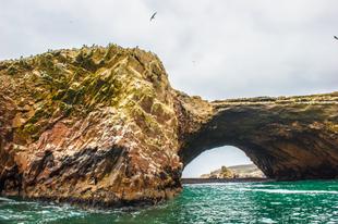 Ballestas Inseln