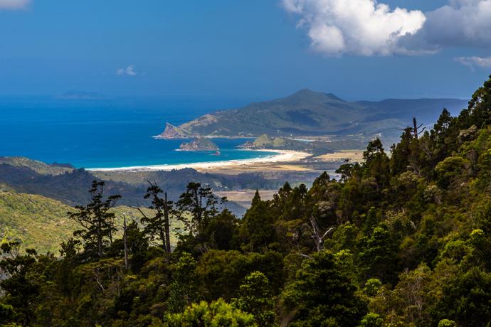 Blick auf die Insel Medlands vom Mt. Hobson