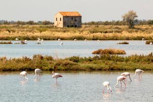Lagunenlandschaft in Comacchio 