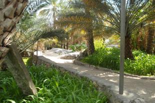 Al Hamra