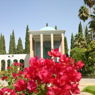 Blumen in Shiraz 
